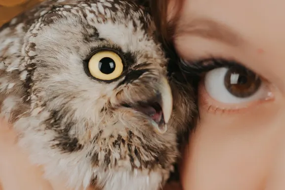 Lottomart Casino Tugi